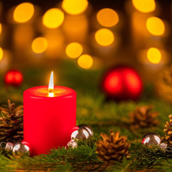 „Das Gute, das ihr gebt, wird zu euch zurückkehren“ – Gedanken zur Botschaft von Dr. Maximilian Domej