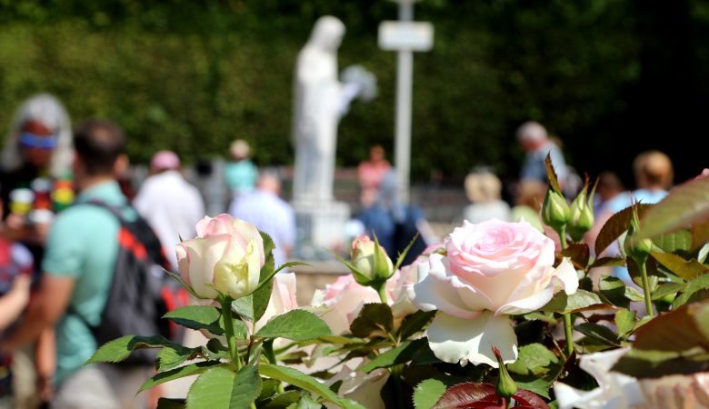 Beten und lieben gehören zusammen – Gedanken zum Sonntagsevangelium